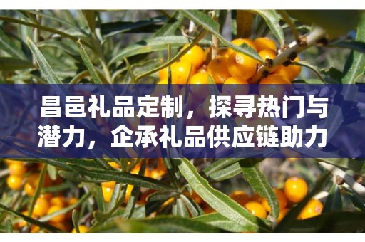 昌邑礼品定制，探寻热门与潜力，企承礼品供应链助力您的商业成功