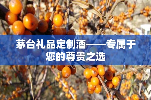 茅台礼品定制酒——专属于您的尊贵之选