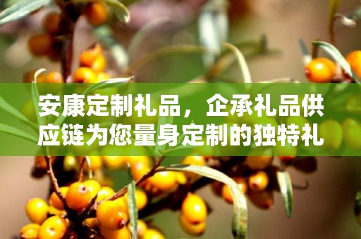 安康定制礼品，企承礼品供应链为您量身定制的独特礼物