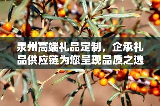 泉州高端礼品定制，企承礼品供应链为您呈现品质之选