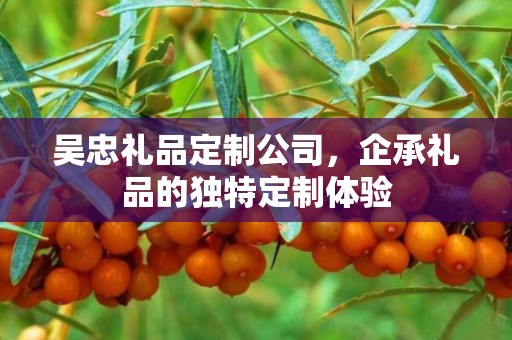 吴忠礼品定制公司，企承礼品的独特定制体验