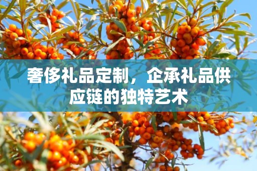 奢侈礼品定制，企承礼品供应链的独特艺术