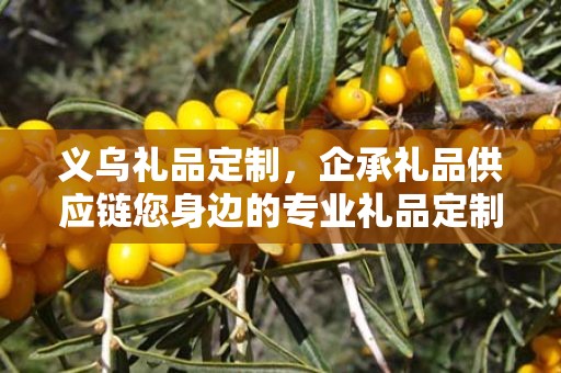 义乌礼品定制，企承礼品供应链您身边的专业礼品定制公司