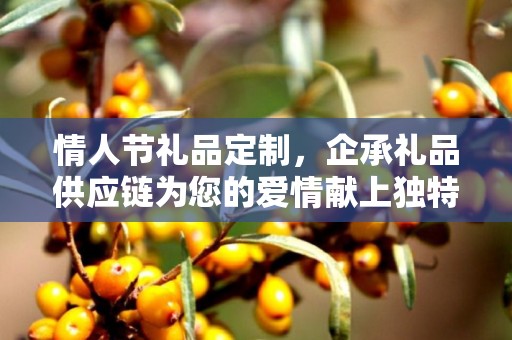 情人节礼品定制，企承礼品供应链为您的爱情献上独特礼物